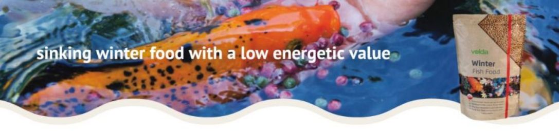 zimní krmení pro ryby